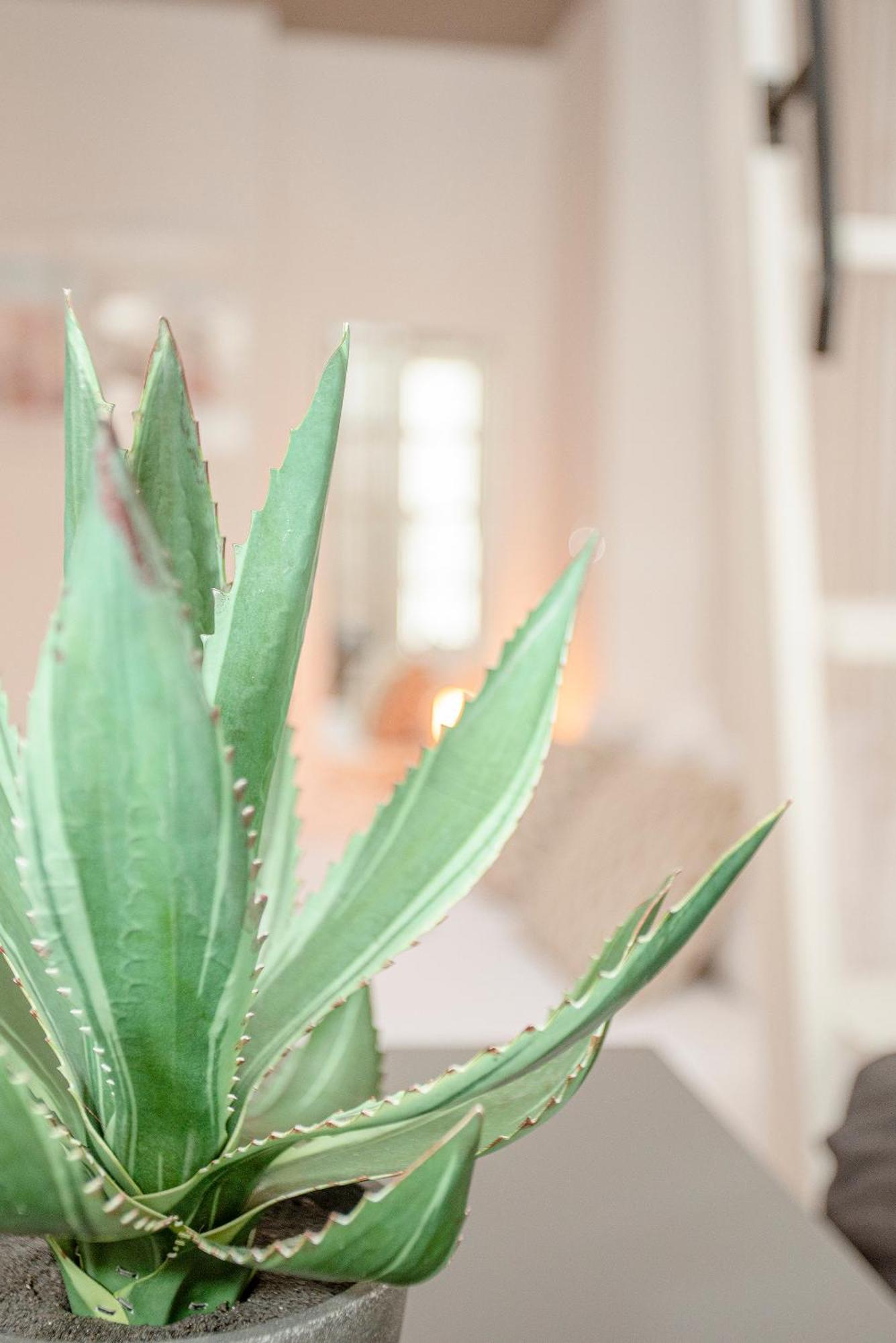 Liiiving In Porto - Heart Of Porto Mezzanine Apartment Ngoại thất bức ảnh